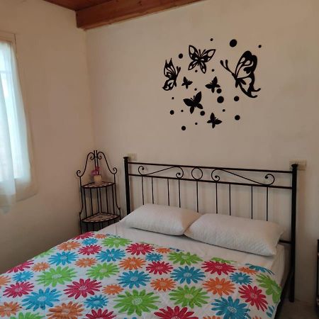 Stellina Villa Lido di Volano Dış mekan fotoğraf
