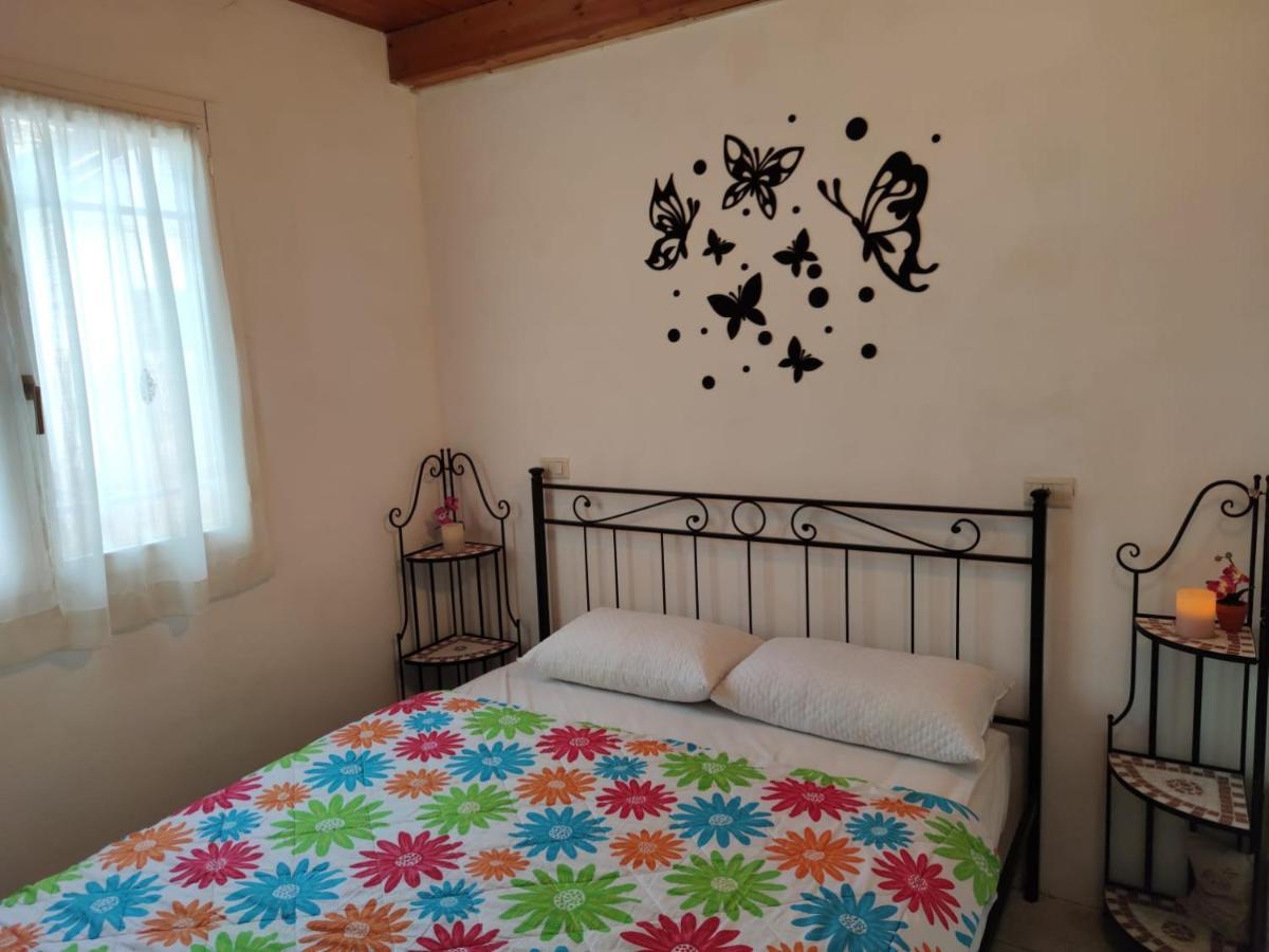 Stellina Villa Lido di Volano Dış mekan fotoğraf